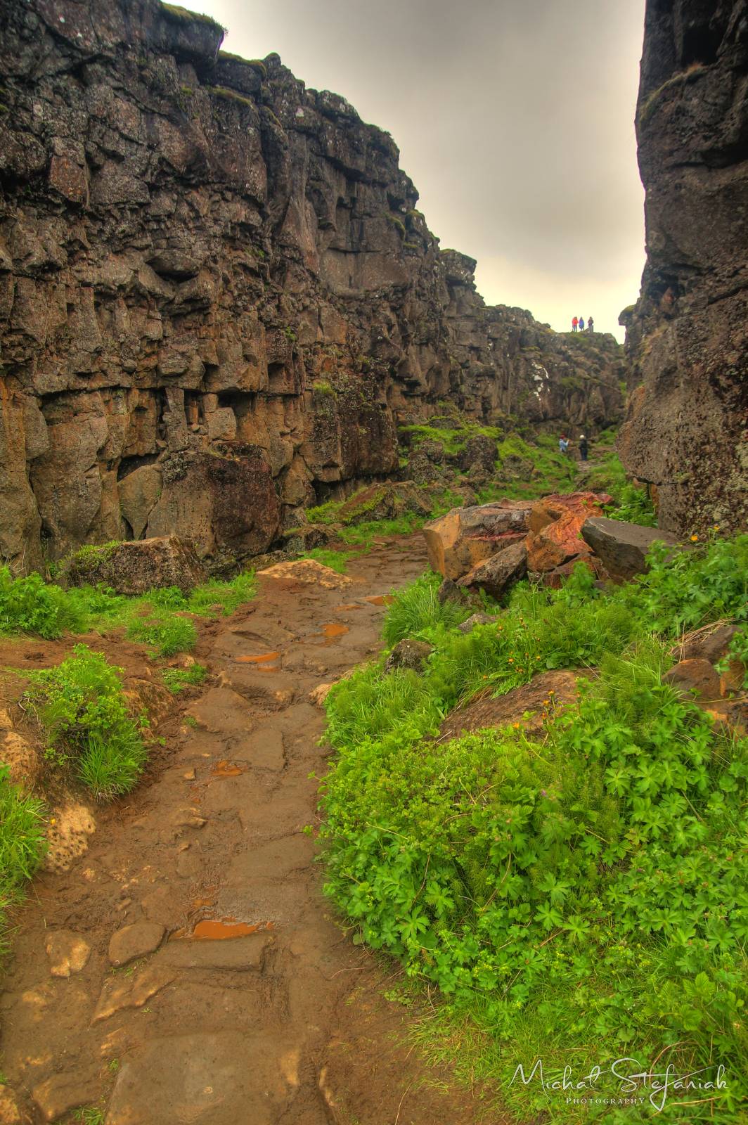 091 IMG 2550 1 2Enhancer